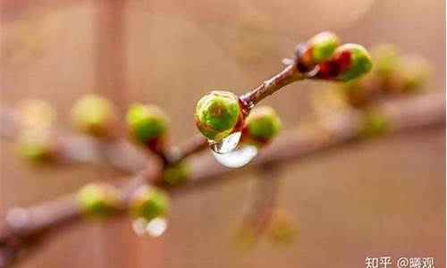 雨后天晴的优美句子朋友圈_关于雨后天晴的励志句子