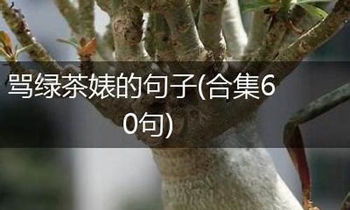 骂绿茶婊的句子_骂绿茶的句子长句