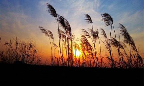 形容夕阳余晖的唯美句子_形容夕阳余晖的唯美句子简短