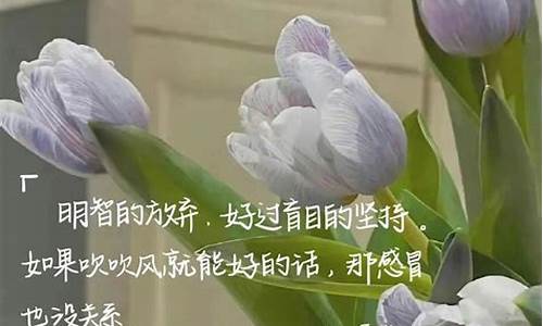 朋友寄语唯美句子简短_朋友寄语唯美句子简短一点