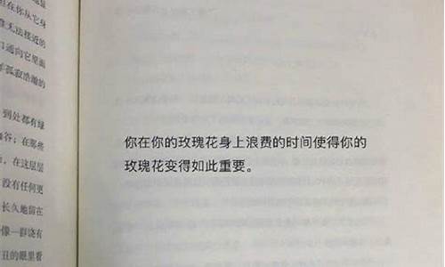 一眼惊艳的书摘文案青春_青春书摘语录