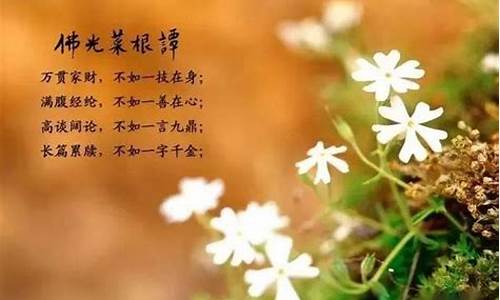 菜根谭十大名句_菜根谭名句大全