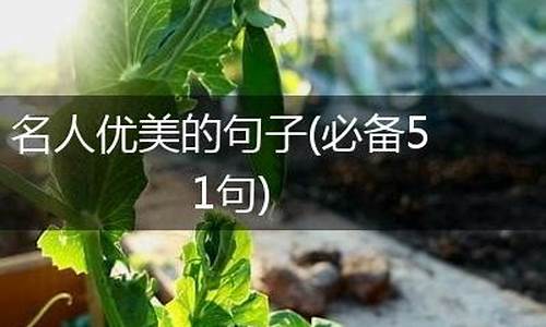 美句简短优美句子名人名言_美句简短优美句子名人名言大全