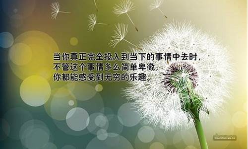 电脑桌面屏保的好句子_电脑屏保的经典句子