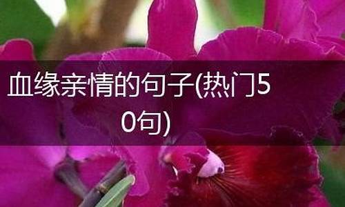 关于血缘亲情的句子_血缘亲情的句子唯美简短一点